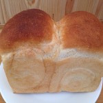 ホシノ酵母の大型パン