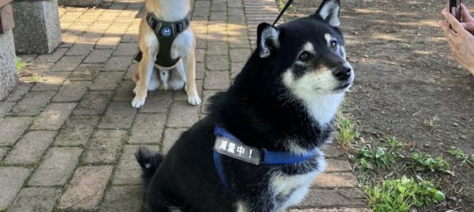 秋留台公園 秋留台公園