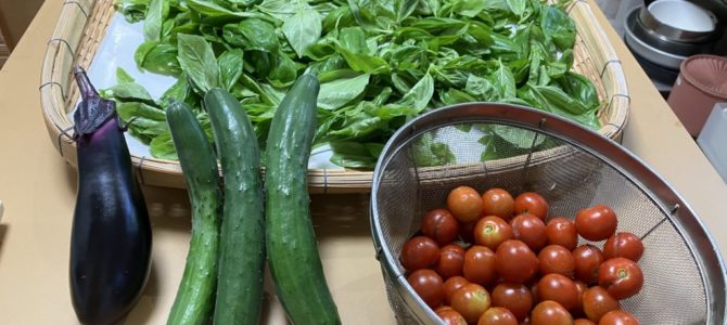 夏の収穫 夏の収穫