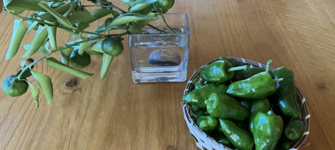 18日(金)雨の中ありがとうございました 18日(金)雨の中ありがとうございました