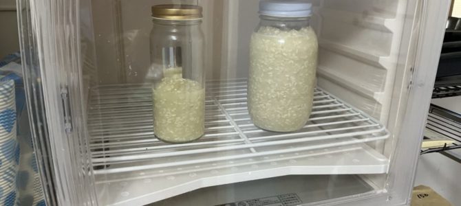 玉ねぎ麹 玉ねぎ麹