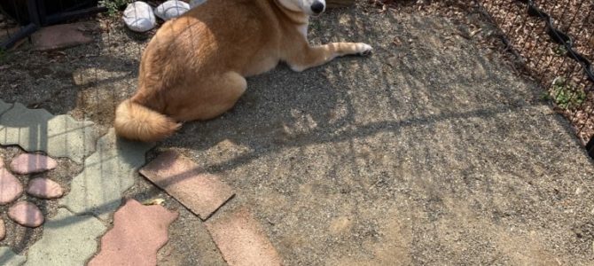 28日(金) 営業します 28日(金) 営業します