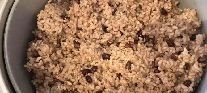 ねかせ玄米発酵中 ねかせ玄米発酵中