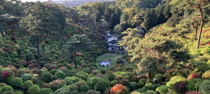 塩船観音寺 塩船観音寺