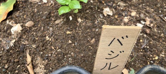 6月13日(金)営業を開始します 6月13日(金)営業を開始します