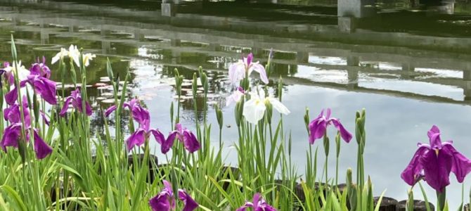 6月27日まで営業します 6月27日まで営業します