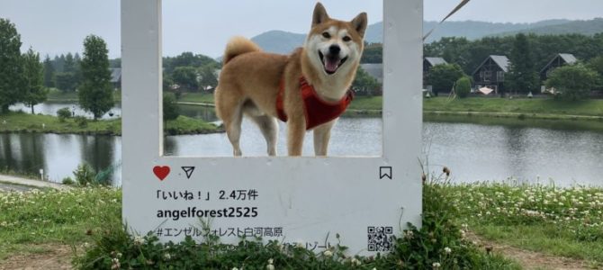 夏休み中 夏休み中