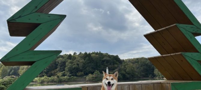 3日(金)始まります 3日(金)始まります