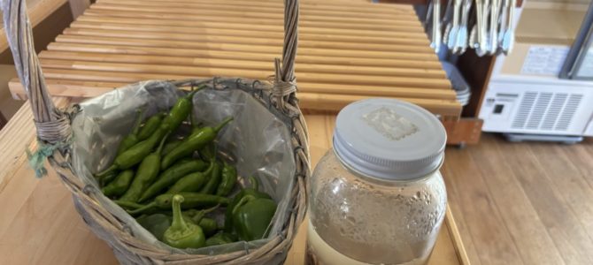 3日(金) 無事に完売です 3日(金) 無事に完売です