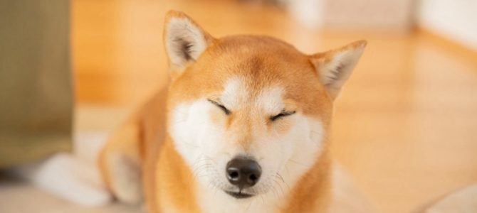 12月12日(金)臨時休業 12月12日(金)臨時休業